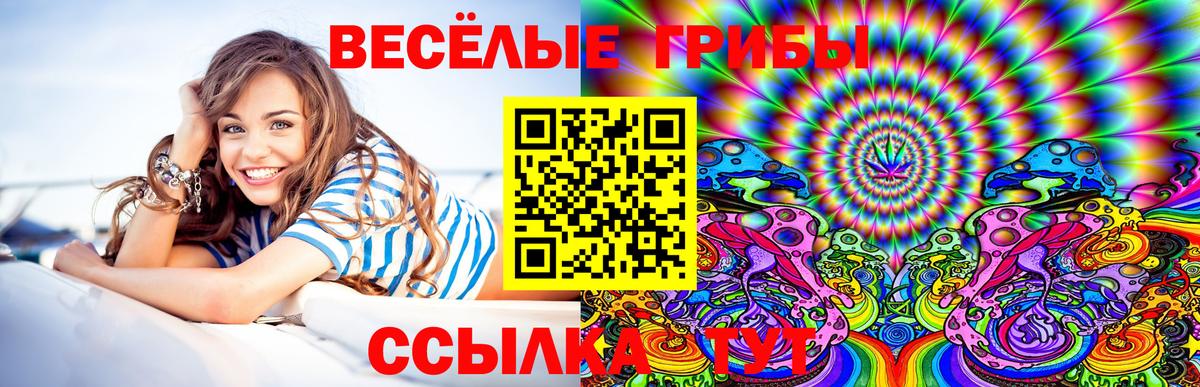 Галлюциногенные грибы Psilocybine cubensis  Псилоцибиновые грибы прущие грибы  Каспийск  купить  сайты  Вход с VPN 